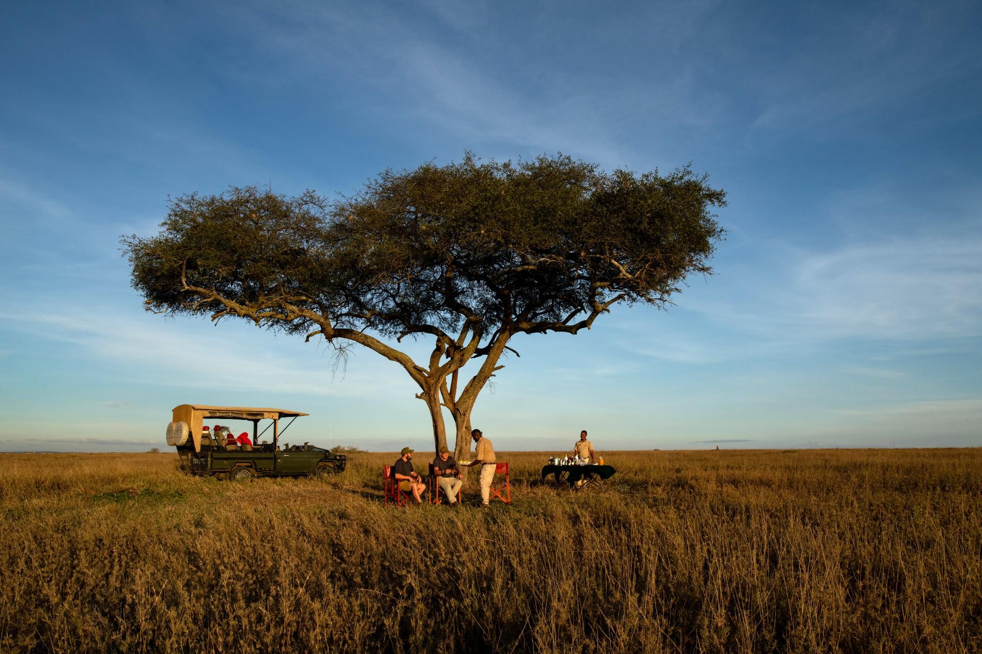 Serengeti camp guests at a sundowner