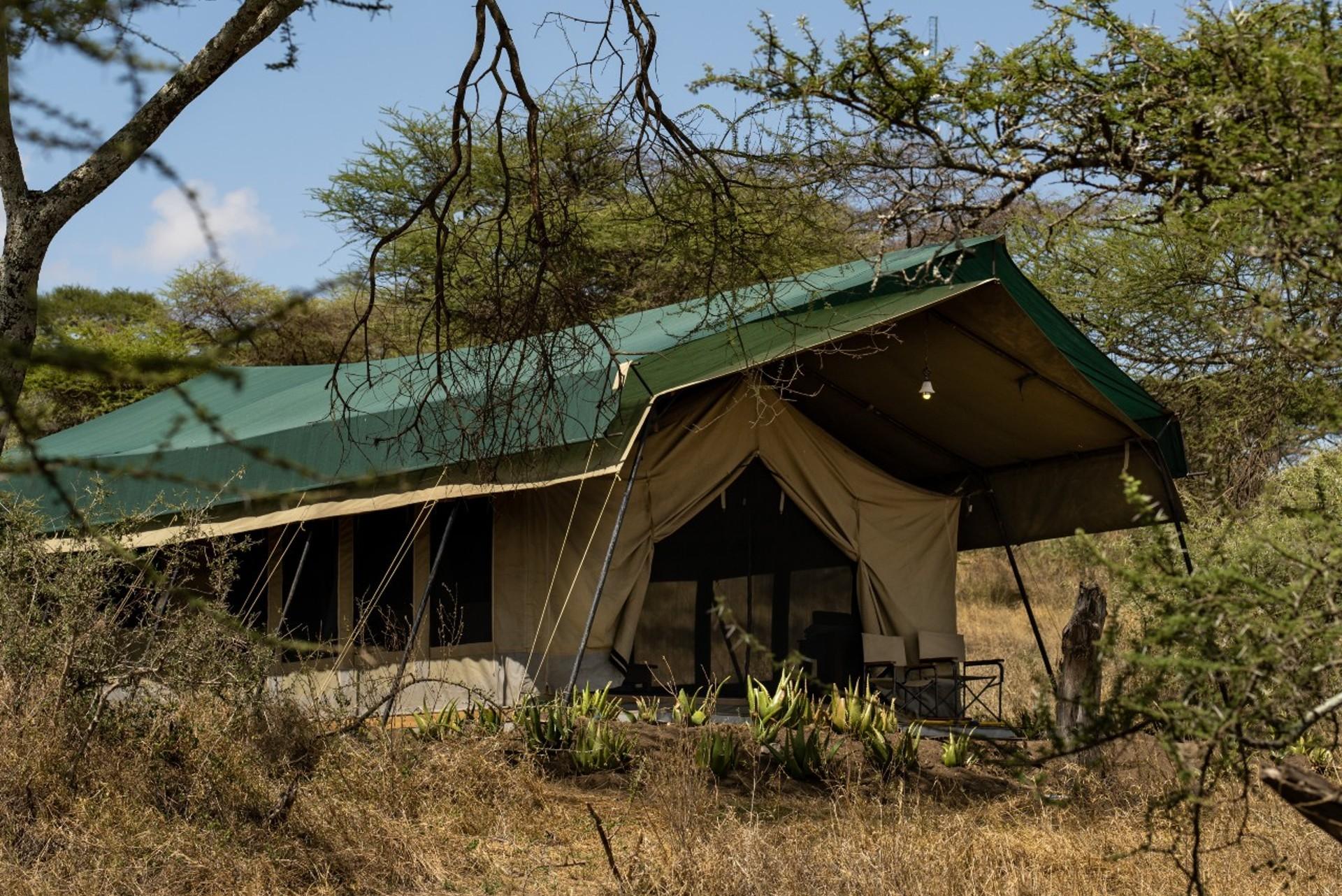 Serengeti woodlands camp family suite