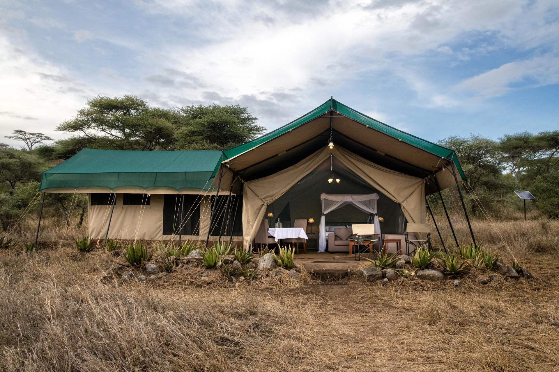 Outside Woodlands camp family suite