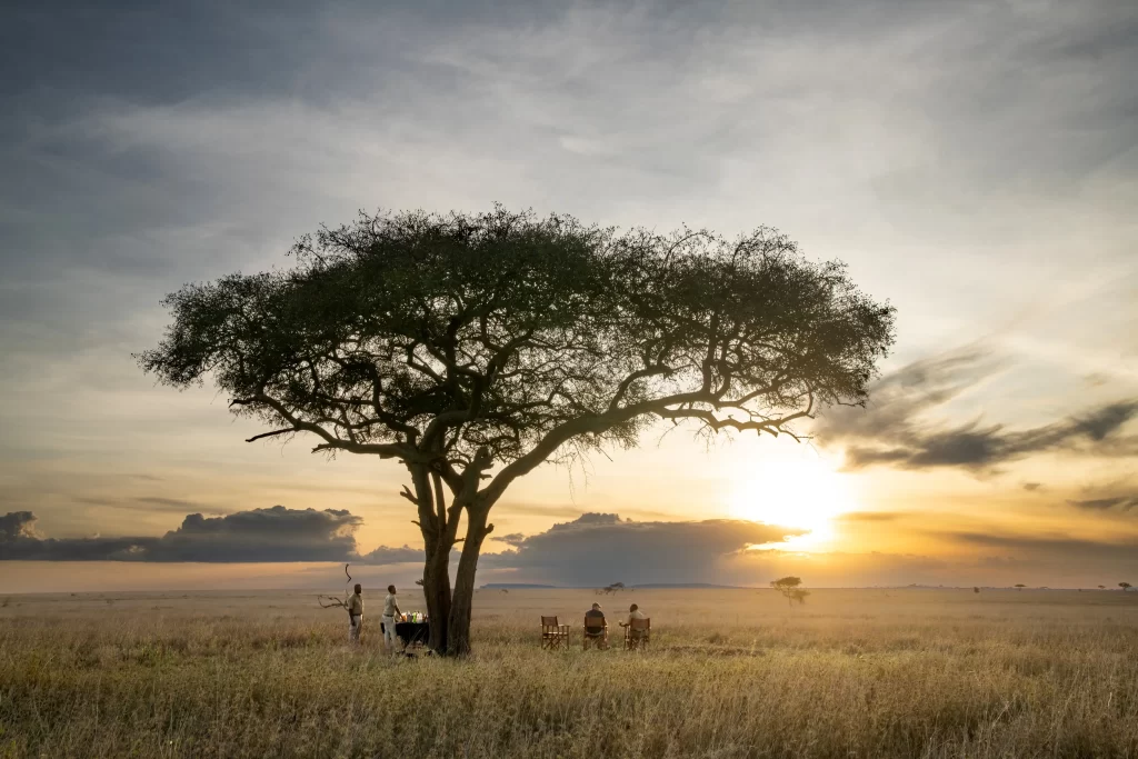 Guests enjoying a sun downer experience at Serengeti National Park