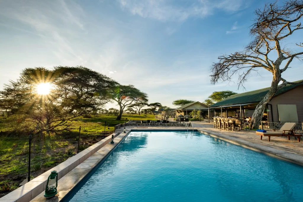 Serengeti woodlands camp swimming pool