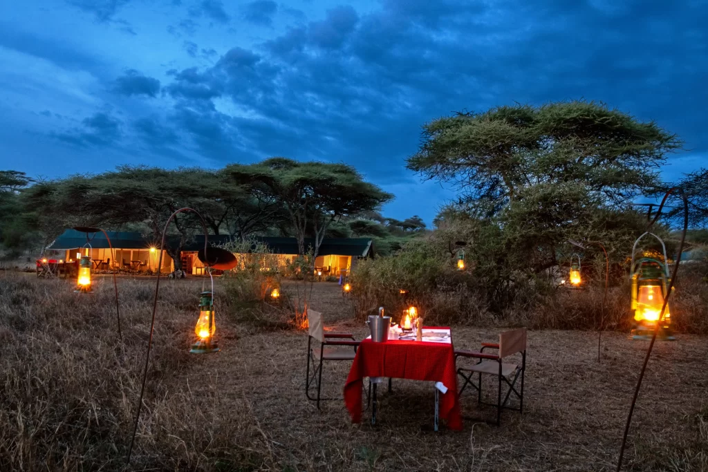 Romantic dinner set for two in the bush at Serengeti Woodlands Camp,
